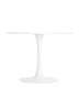 stol-tulip-d100_White.jpg